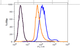 Metabolism Assays